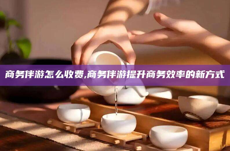 博白商务伴游怎么收费,商务伴游提升商务效率的新方式